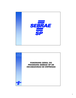 Panorama geral do programa Sebrae-SP de incubadoras