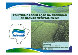 pol&iacute;tica e legisla&ccedil;&atilde;o da produ&ccedil;&atilde;o de carv&atilde;o vegetal