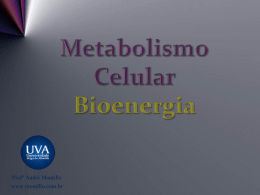 Respira&ccedil;&atilde;o Celular