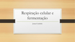 Respira&ccedil;&atilde;o celular e fermenta&ccedil;&atilde;o