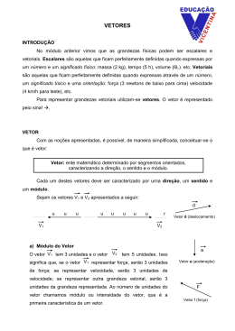 IV - VETORES