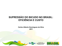 Supressão do bicudo no Brasil: eficiência e custo (1)