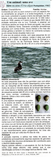 Airo - SETA