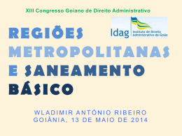 Wladimir Ant&oacute;nio Ribeiro