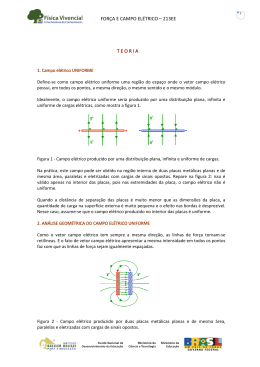 FOR&Ccedil;A E CAMPO EL&Eacute;TRICO &ndash; 213EE T E O R I A