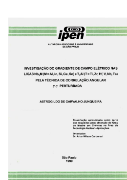 INVESTIGA&Ccedil;&Atilde;O DO GRADIENTE DE CAMPO EL&Eacute;TRICO