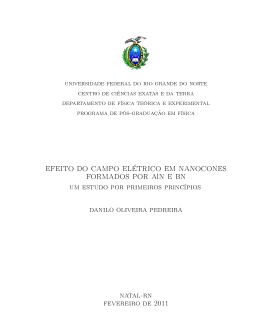 efeito do campo el&eacute;trico em nanocones formados por aln e bn
