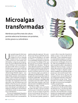 Microalgas transformadas - Revista Pesquisa FAPESP