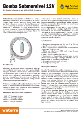 Bomba Submers&iacute;vel 12V