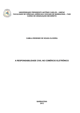 a responsabilidade civil no com&eacute;rcio eletr&ocirc;nico
