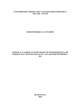 g&ecirc;nese e classifica&ccedil;&atilde;o de solos em