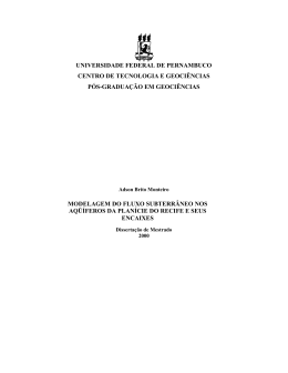 Modelagem do fluxo subterr&acirc;neo nos Aqu&iacute;feros da Plan&iacute;cie