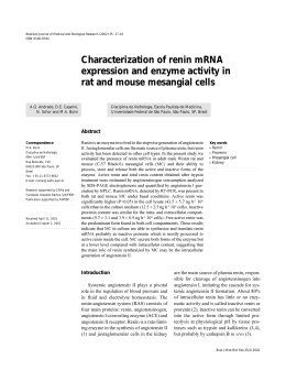 Characterization of renin mRNA expression and enzyme activity in
