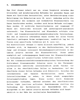 5. ZUSAMMENFASSUNG Das Ziel dieser Arbeit war es, einen