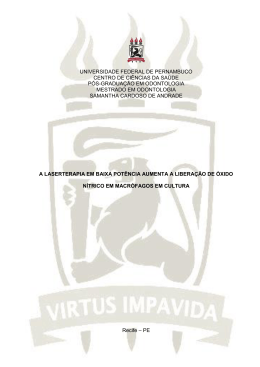 Visualizar/Abrir - Universidade Federal de Pernambuco