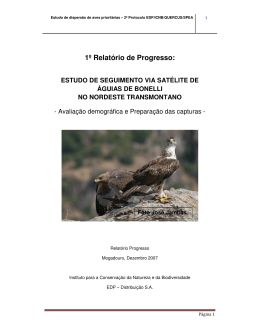 1&ordm; Relat&oacute;rio de Progresso: