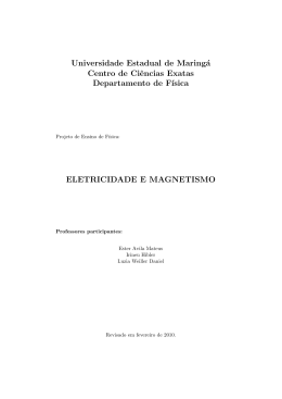 F&iacute;sica Geral Experimental III
