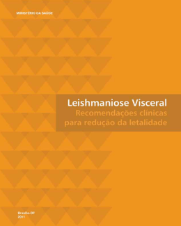 Leishmaniose Visceral: recomendações clínicas para a redução da