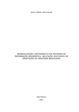 Generaliza&ccedil;&atilde;o cartogr&aacute;fica em sistemas de informa&ccedil;&atilde;o geogr&aacute;fica