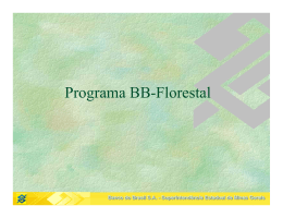 Programa BB-Florestal