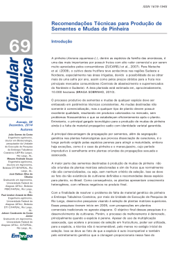 Recomenda&ccedil;&otilde;es T&eacute;cnicas para Produ&ccedil;&atilde;o de - Ainfo