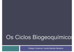 Os Ciclos Biogeoquímicos