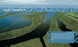 &Aacute;GUAS DA AMAZ&Ocirc;NIA
