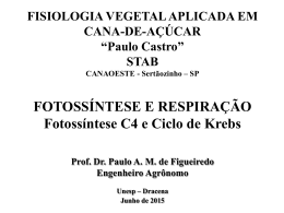 Fotossíntese C4 e Ciclo de Krebs - Paulo A. M. de Figueiredo