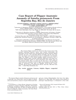 Case Report of Flipper Anatomic Anomaly of Sotalia guianensis