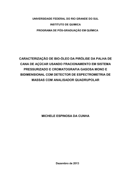 000922053 - Reposit&oacute;rio Institucional da UFRGS