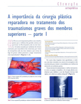 A import&acirc;ncia da cirurgia pl&aacute;stica reparadora no