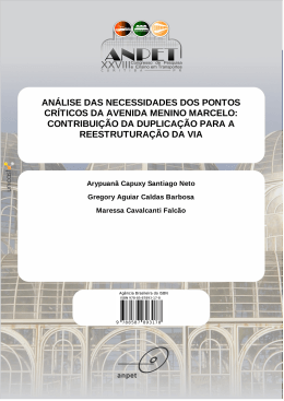 an&aacute;lise das necessidades dos pontos cr&iacute;ticos da avenida