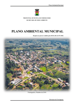Plano Municipal de Formigueiro