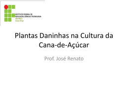 Plantas Daninhas na Cultura da Cana-de