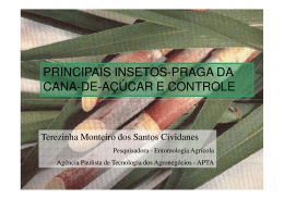 PRINCIPAIS INSETOS-PRAGA DA CANA-DE-AÇÚCAR