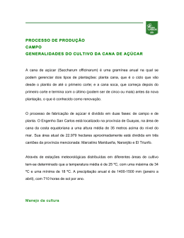 Processos de Produ&ccedil;&atilde;o VEJA MAIS