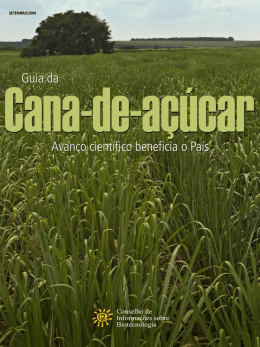 Vers&atilde;o impressa