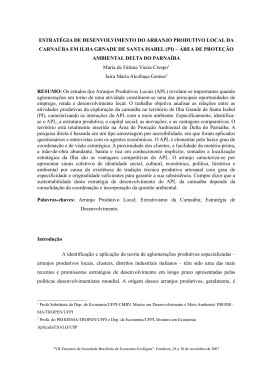 estrat&eacute;gia de desenvolvimento do arranjo produtivo local
