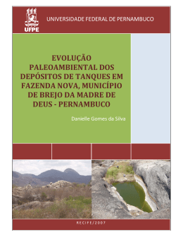 evolu&ccedil;&atilde;o paleoambiental dos dep&oacute;sitos de tanques em fazenda