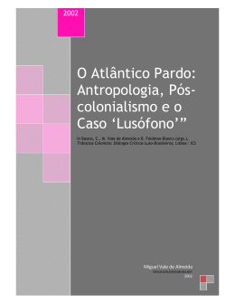 O Atlântico Pardo - Miguel Vale de Almeida