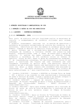 RELATÓRIO DE AUDITORIA ANUAL DE CONTAS 2007