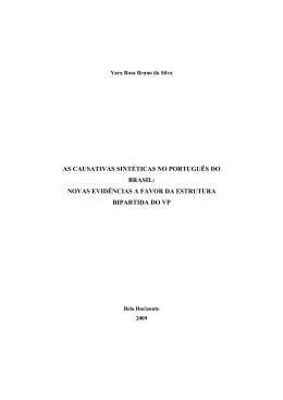 Disserta&ccedil;&atilde;o de Mestrado - Yara Rosa Bruno da Silva