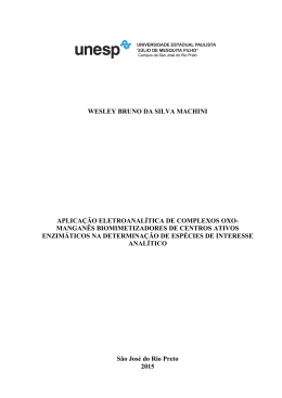 WESLEY BRUNO DA SILVA MACHINI APLICA&Ccedil;&Atilde;O