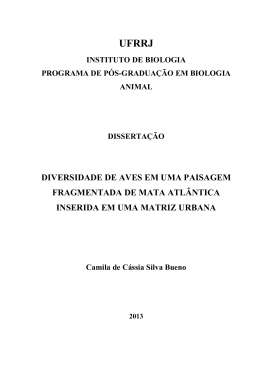 Disserta&ccedil;&atilde;o - Camila de C&aacute;ssia Silva Bueno
