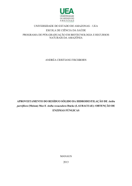 Andr&eacute;a Cristiane Fischborn - uea