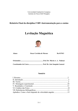 Levita&ccedil;&atilde;o Magn&eacute;tica