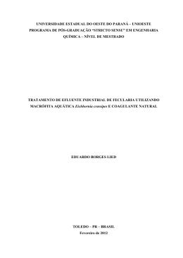 &ldquo;stricto sensu&rdquo; em engenharia qu&iacute;mica