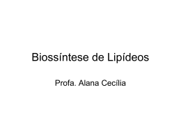 Biossíntese de lipídeos (1817602)