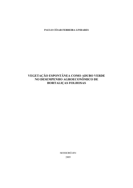 Arquivo PDF