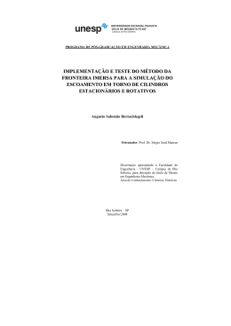implementa&ccedil;&atilde;o e teste do m&eacute;todo da fronteira imersa para a